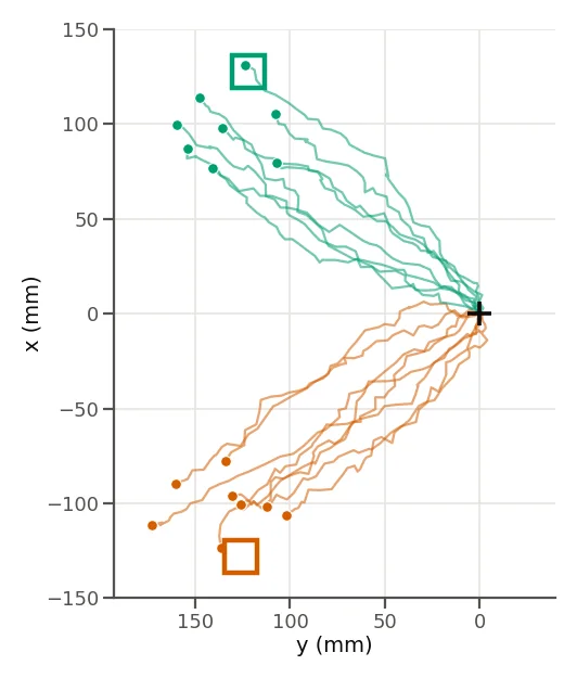 Top-down plot of live paths from a fixed start. Green mesh paths reach the green square at the top and red empty-gripper paths reach the red square at the bottom.
